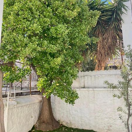 Modern 3Br Maisonette With Garden 10 Min From Acropolis Athènes Extérieur photo